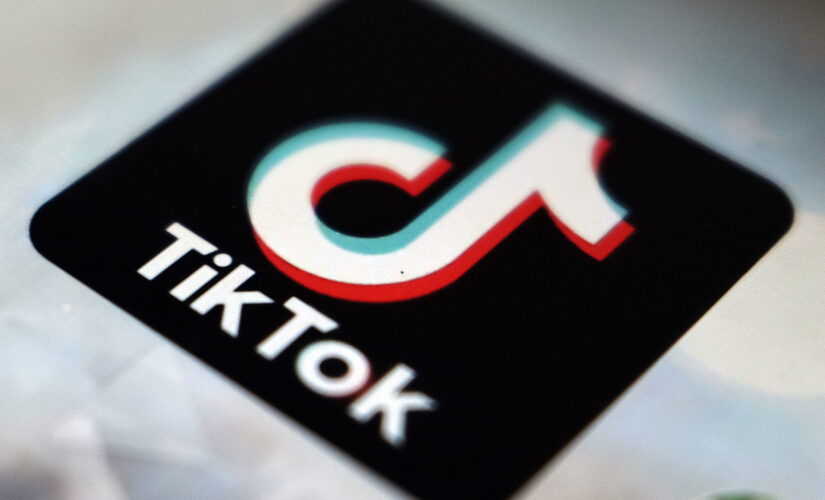 Auschwitz survivor, 97, receives anti-Semitic messages on TikTok: report