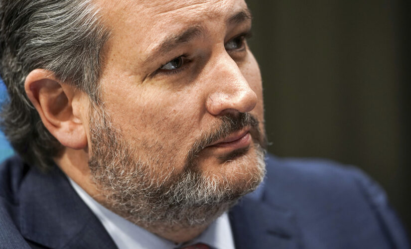 Sens. Cruz, Hagerty fly to Israel to survey damage from Hamas conflict