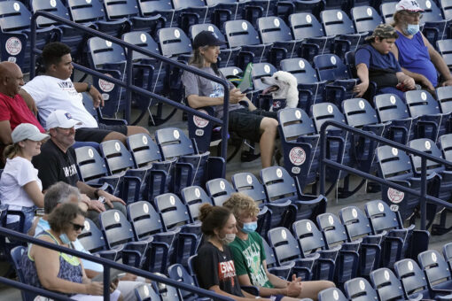 Robot umps and dogs, minor league ball back after lost year