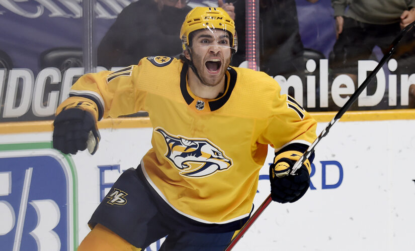 Predators down Hurricanes 3-1 to clinch playoff berth
