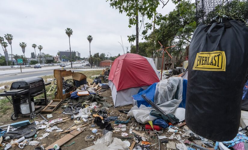 Los Angeles residents oppose plan to move homeless to beaches, parks