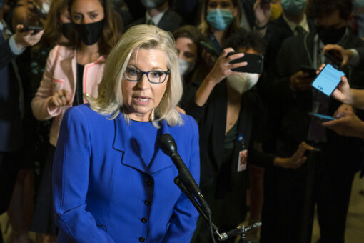 Chris Wallace presses Liz Cheney on Trump supporters: ‘Why alienate them?’