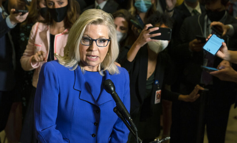 Chris Wallace presses Liz Cheney on Trump supporters: ‘Why alienate them?’