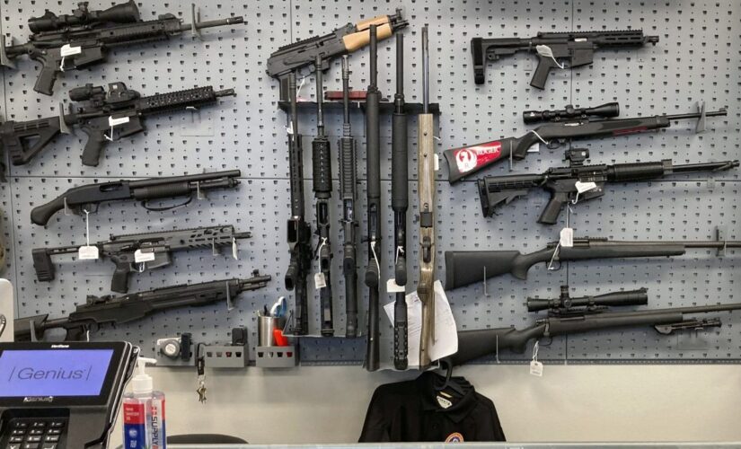 Second Amendment sanctuaries facing 1st court test in Oregon