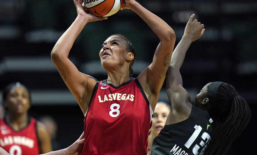 WNBA coach suspended after weight comment, player fires back: ‘little White one’