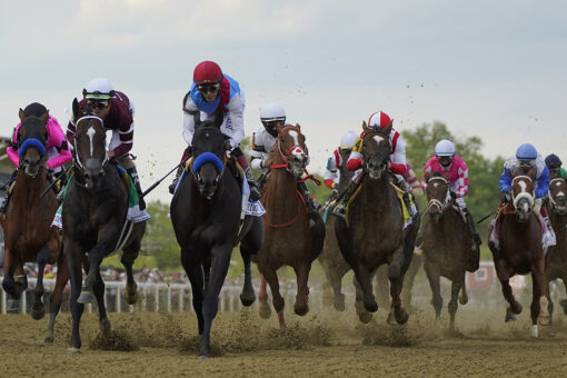 Horse racing has more questions than answers post-Preakness