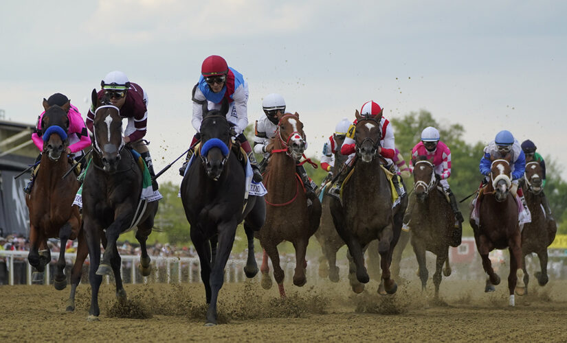 Horse racing has more questions than answers post-Preakness