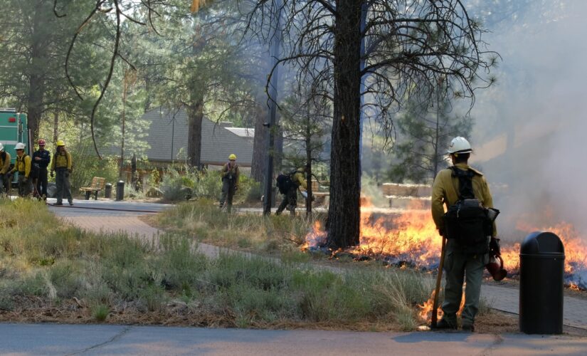 ‘Nothing looks good’ preparing for summer wildfire season