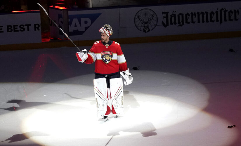Spotlight on rookies making early impact in the NHL playoffs