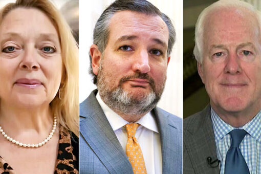 Carole Baskin blames Texas Sens. Cruz, Cornyn for escaped Houston tiger
