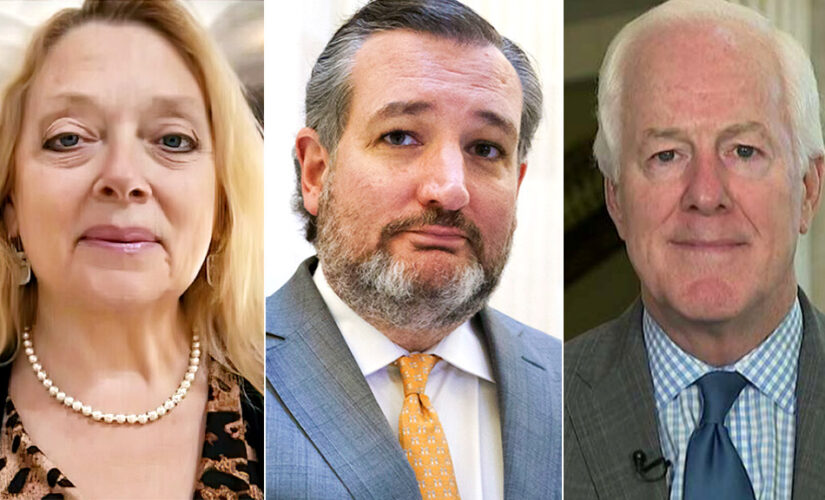 Carole Baskin blames Texas Sens. Cruz, Cornyn for escaped Houston tiger