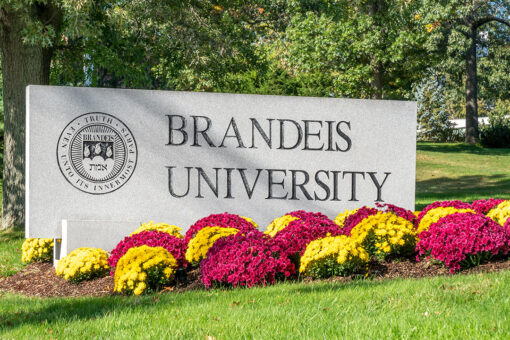 Brandeis assistant dean defends critical race theory: ‘All White people are racist’
