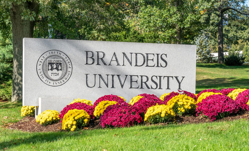 Brandeis assistant dean defends critical race theory: ‘All White people are racist’