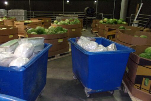 California customs agents seize $2.5M worth of meth hidden in watermelon shipment: CBP