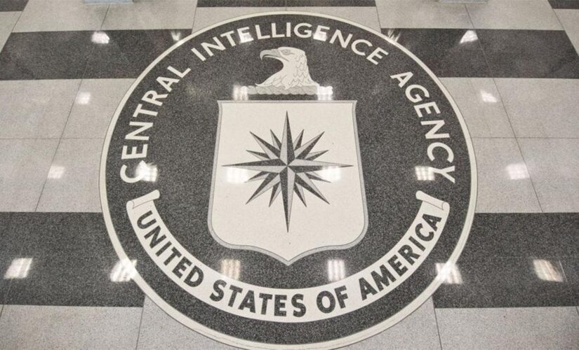 Republicans torch new CIA recruitment ad as an ’embarrassment’