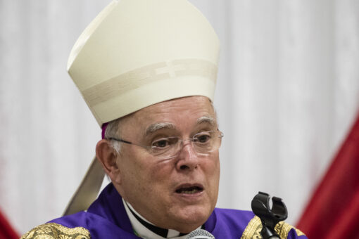 Catholic leader tells Tucker Carlson political activism ‘important’, calls party membership ‘dangerous’