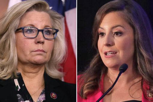 Elise Stefanik, GOP conference chair favorite, voted with Trump less than Liz Cheney