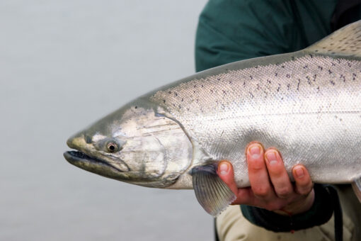 12-year-old fisherman wins $15K for catching 26-pound fish in New York