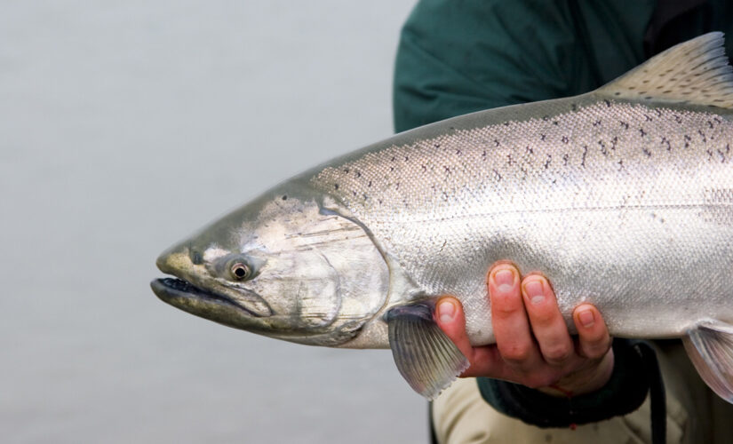 12-year-old fisherman wins $15K for catching 26-pound fish in New York
