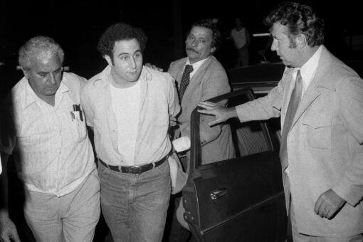 ‘Sons of Sam’ docuseries chronicles reporter’s quest for truth behind NYC’s most notorious murder