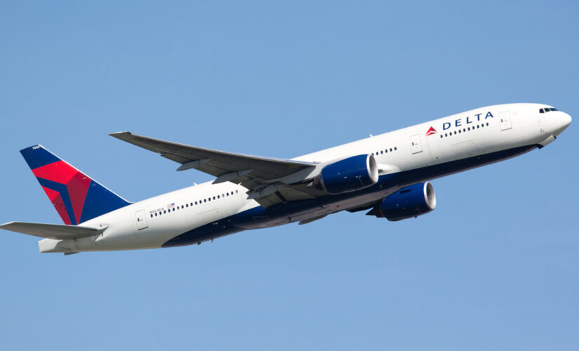 Woman gives birth mid-flight en route to Hawaii, according to viral TikTok