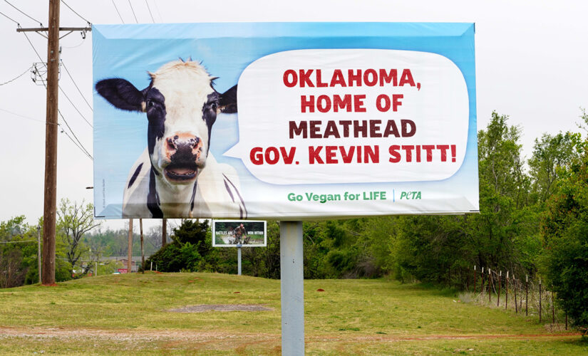 Oklahoma Gov. Stitt hosts barbecue beside PETA billboard slamming him for declaring ‘meat week’