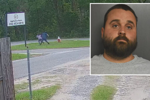 Florida girl, 11, who fended off attempted kidnapper, credits slime, ‘Law & Order’ with helping catch suspect