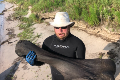 Florida scuba divers discover 50-pound Ice Age mammoth bone in river