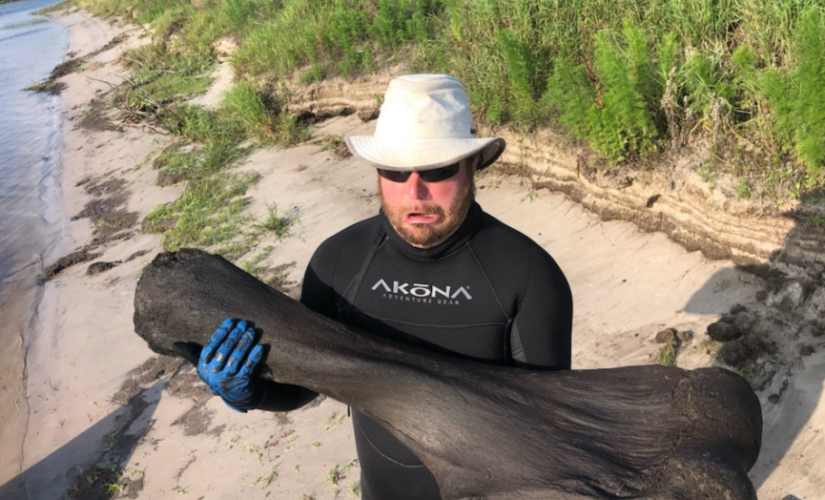 Florida scuba divers discover 50-pound Ice Age mammoth bone in river