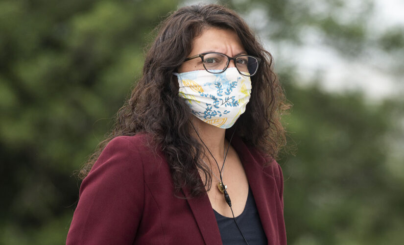 Rashida Tlaib listed as special guest for event hosted by controversial, allegedly anti-Semitic activist