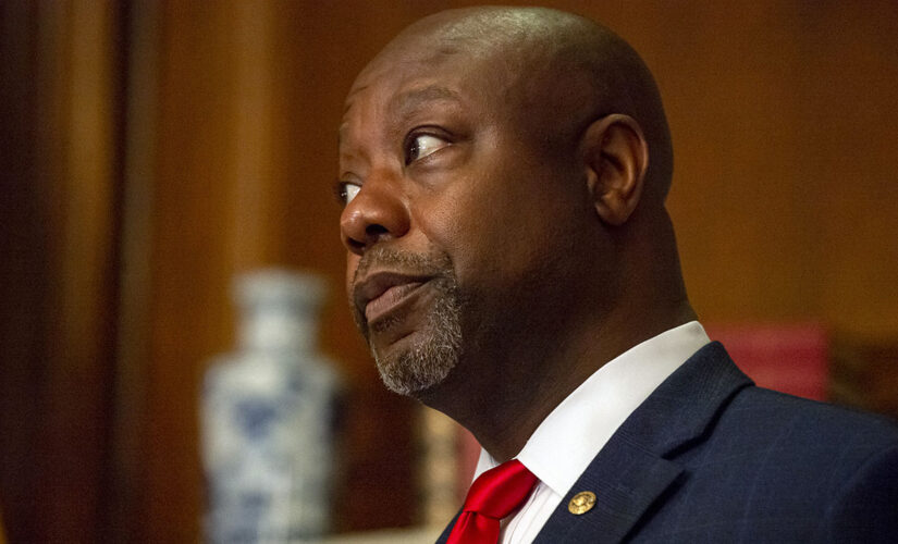 Comedian scrubs board membership from social media bios after racist tweet targeting Tim Scott