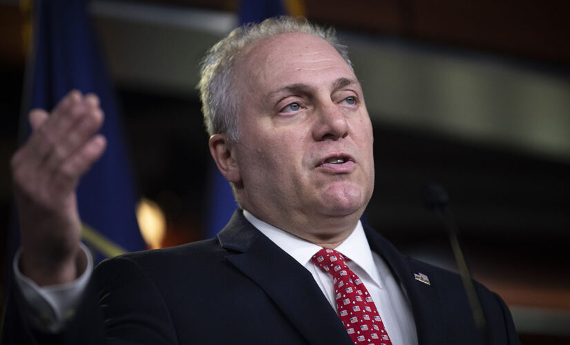 Scalise, GOP lawmakers demand probe of FBI designation of congressional baseball shooting as ‘suicide by cop’