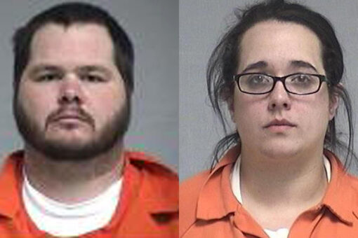 Florida couple pleads guilty to attacking bears with dogs, using doughnuts as bait