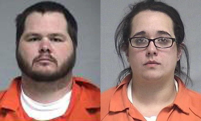 Florida couple pleads guilty to attacking bears with dogs, using doughnuts as bait