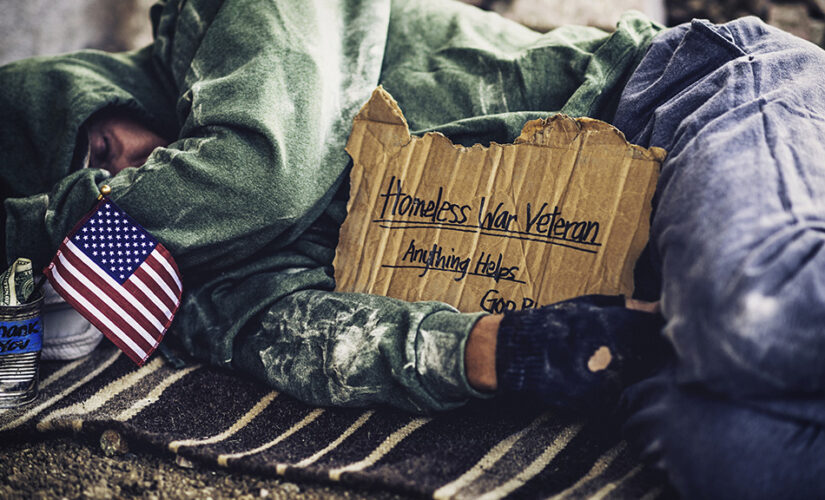 Veterans Affairs hiring racial diversity consultants to fight homelessness