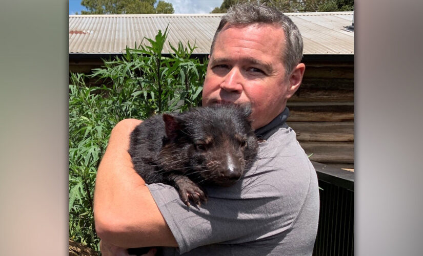 Jeff Corwin on historic Tasmanian devil return: It’s ‘a glimmer of hope’