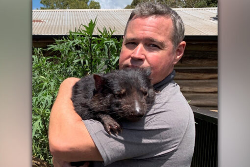 Jeff Corwin on historic Tasmanian devil return: It’s ‘a glimmer of hope’