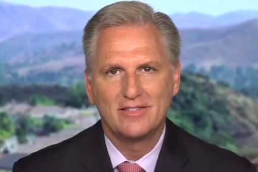 House Minority Leader Kevin McCarthy slams Dems for ‘destroying’ the country