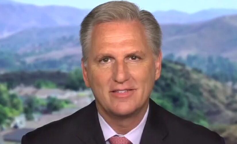 House Minority Leader Kevin McCarthy slams Dems for ‘destroying’ the country