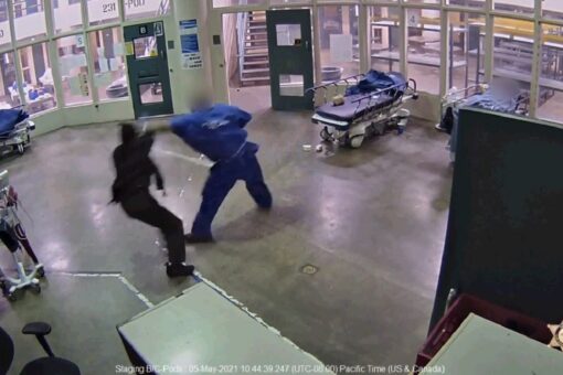 Los Angeles County inmate caught on video brutally assaulting female sheriff’s employee