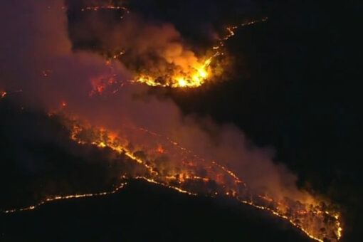 New Jersey wildfire burns nearly 900 acres of forest