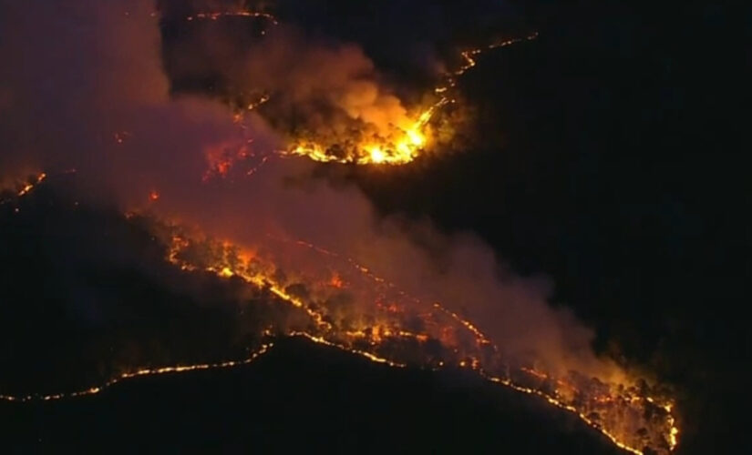 New Jersey wildfire burns nearly 900 acres of forest