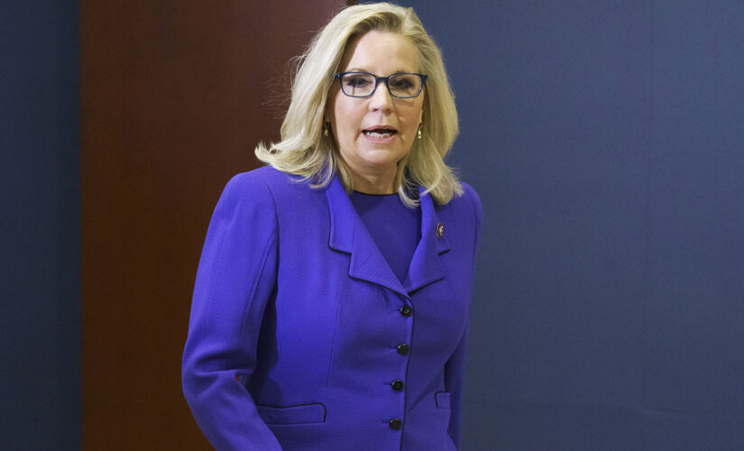 What Liz Cheney told Republican colleagues before they quickly voted her out