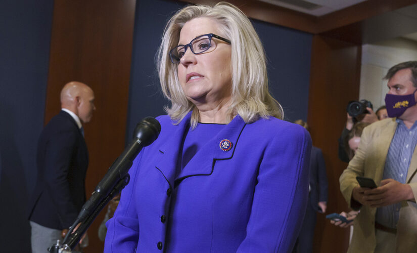 PERGRAM: Liz Cheney’s leadership ousting is part of GOP’s long term plan