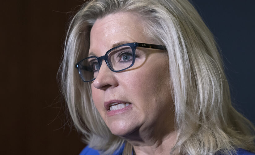 USA Today op-ed: Ousting of Liz Cheney proves GOP is a ‘bigger threat than 9/11 hijackers’
