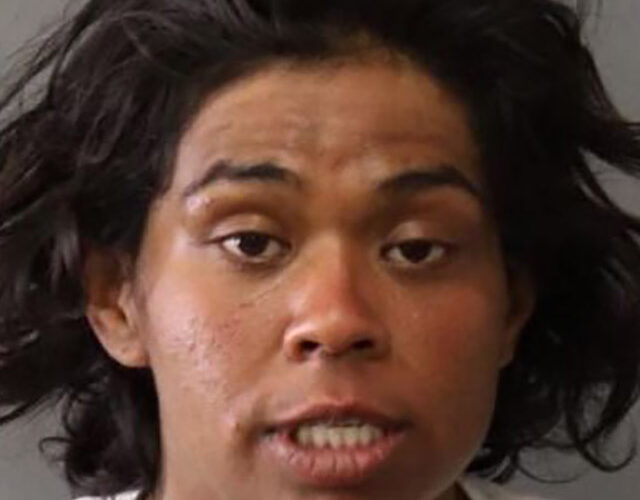 California homeless woman attacks, robs mother in bathroom while at soccer game with her kids, police say