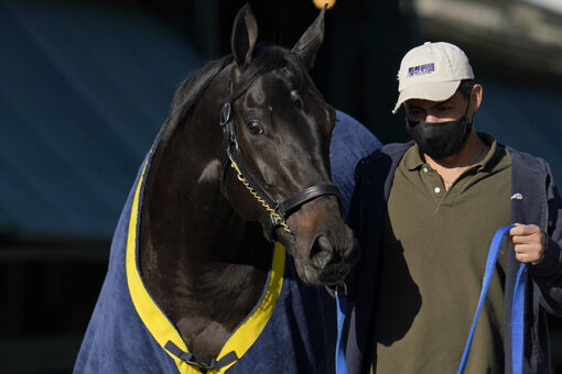 FOX Bet Super 6 Quiz Show offers $10,000 grand prize on Preakness weekend
