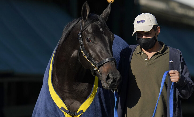 FOX Bet Super 6 Quiz Show offers $10,000 grand prize on Preakness weekend
