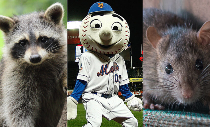 Mets top Diamondbacks after rat-raccoon debate – or something else?