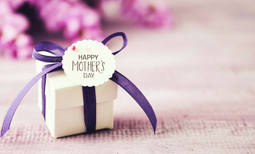ABC scolds Mother’s Day travelers for ‘shattering pandemic records,’ possibly spreading virus